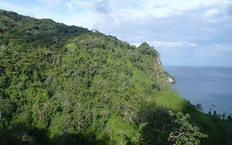 imagen de Isla del Coco