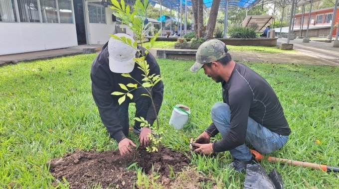 Imagen de dos personas  plantando árboles