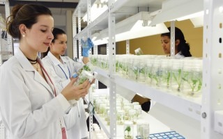 Mujeres estudiantes trabajando en laboratorio. 