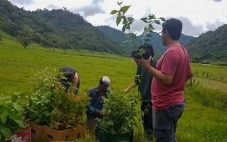 Imagen de cuatro personas plantando árboles