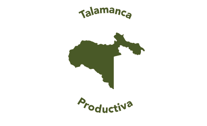 Logo Talamanca productiva