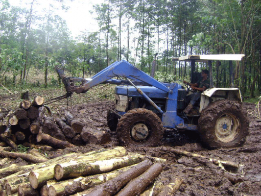 comercializacion-madera-tec-2