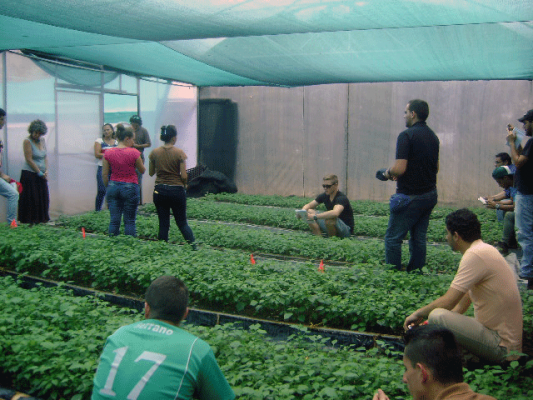 comercializacion-madera-tec-3