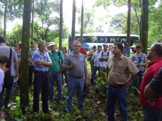 comercializacion-madera-tec_0