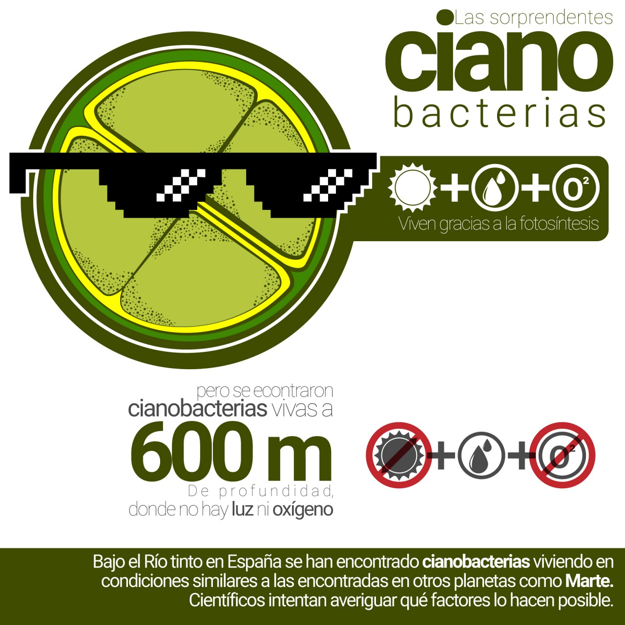 Infografía