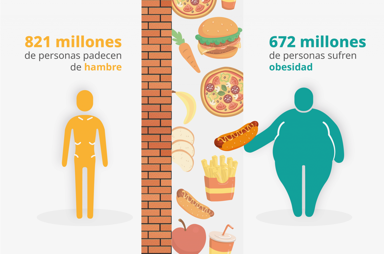 dato_de_alimentacion_mundial_mesa_de_trabajo_1