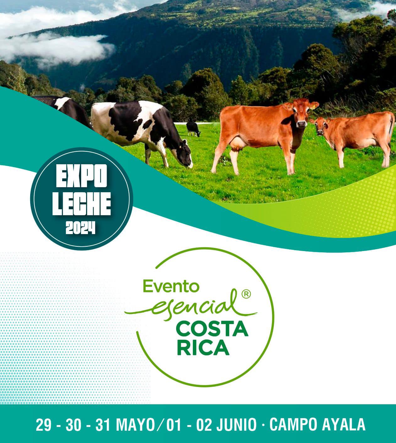 Afiche de expoleche Tiene vacas al fondo.