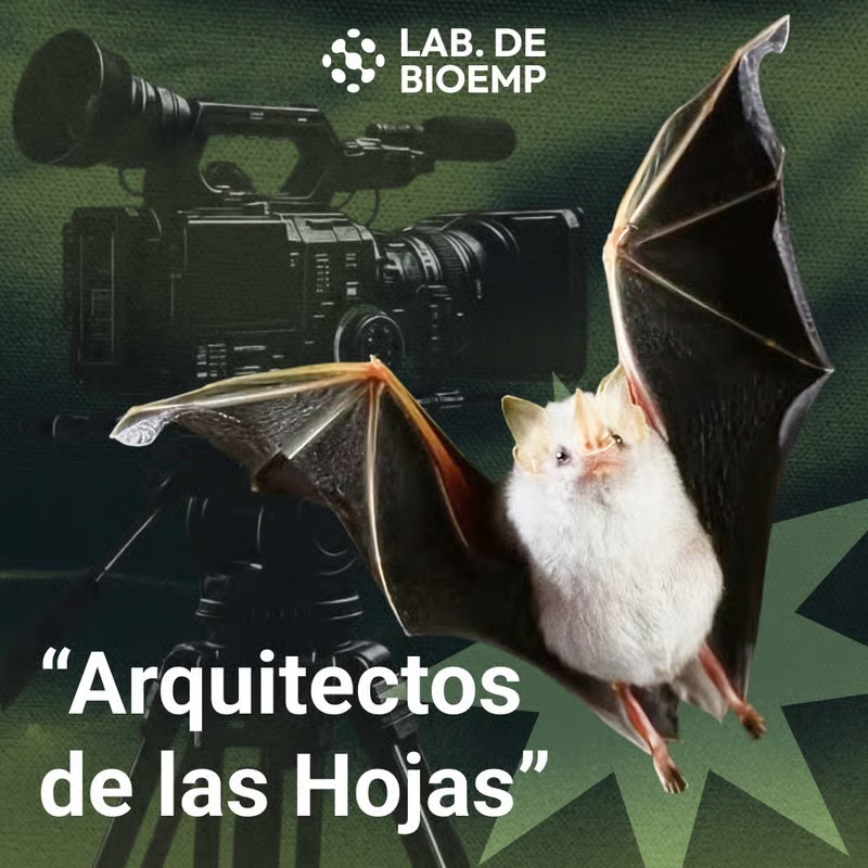 Afiche documental Arquitectos de las Hojas