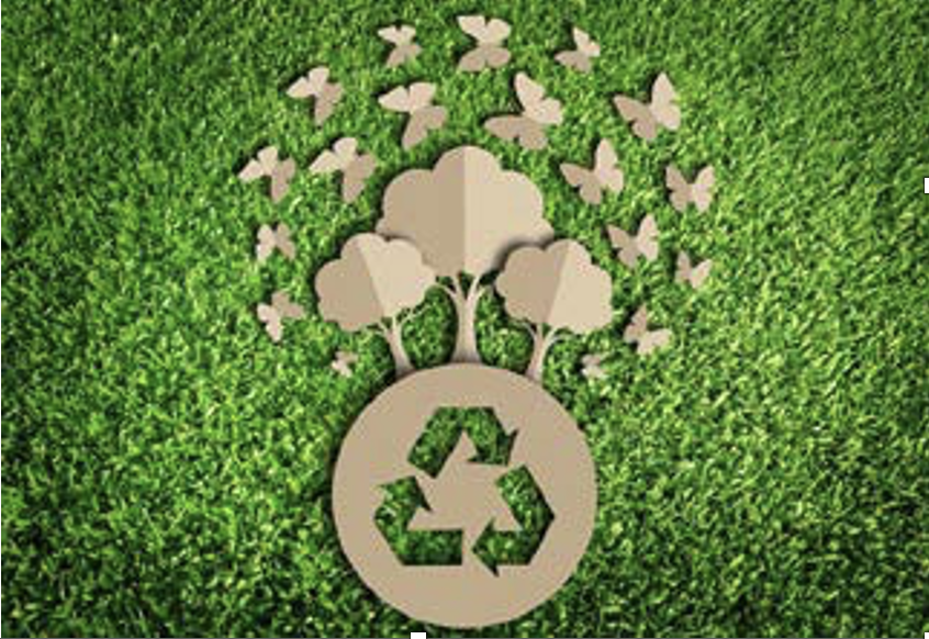 Producción de enmiendas carbono neutro utilizando alternativas de saneamiento para recuperar y conservar el suelo