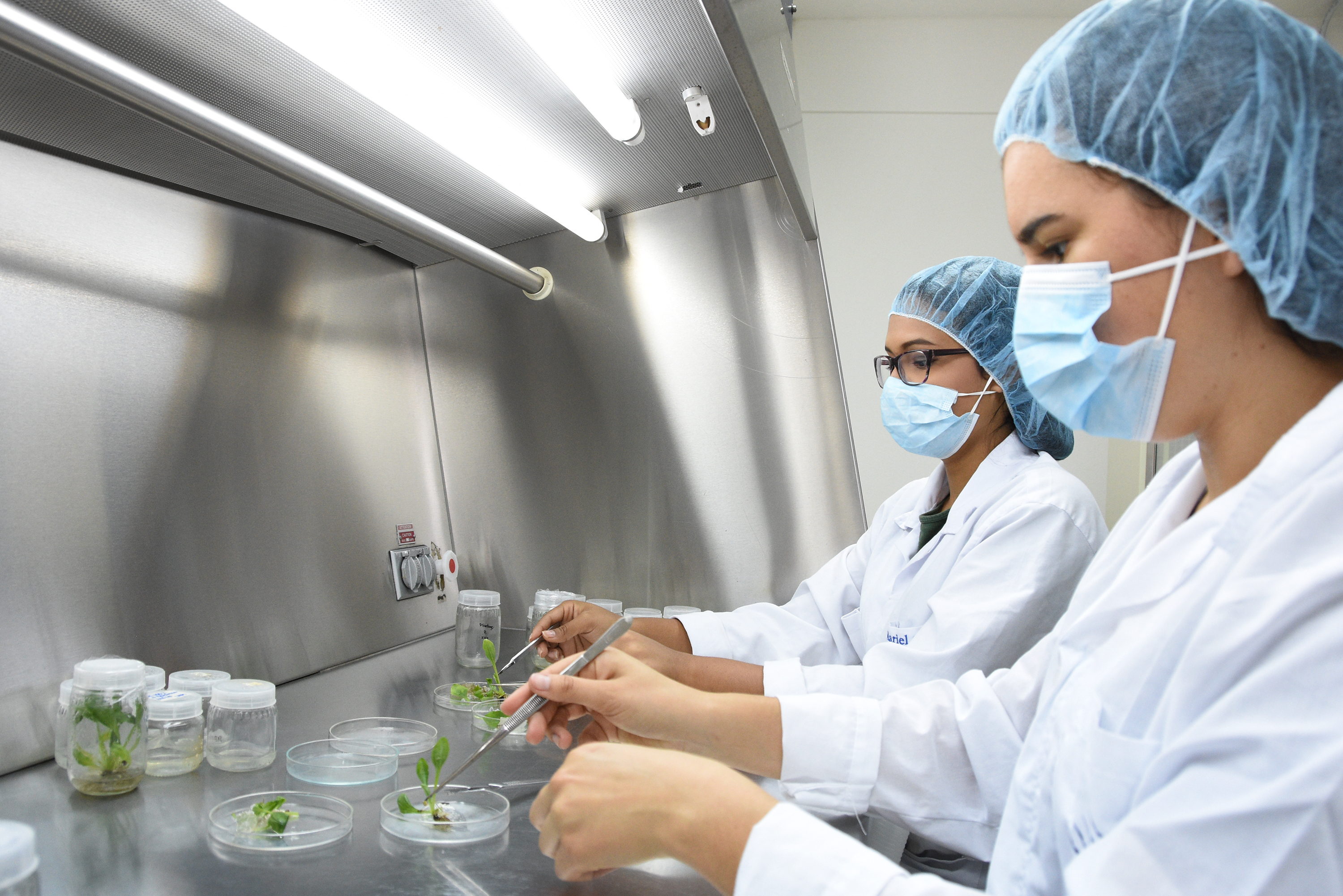 Imagen del laboratorio