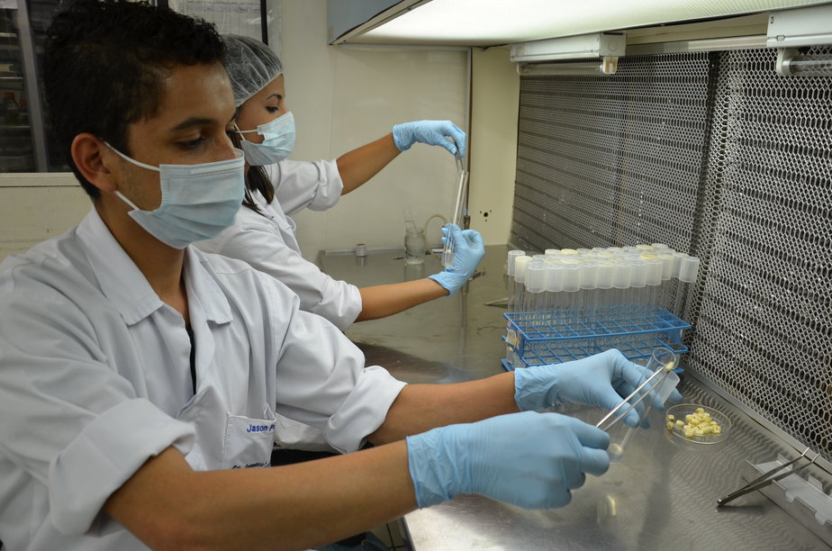 Ingenier A En Biotecnolog A Celebra Semana Con Expertos Nacionales E