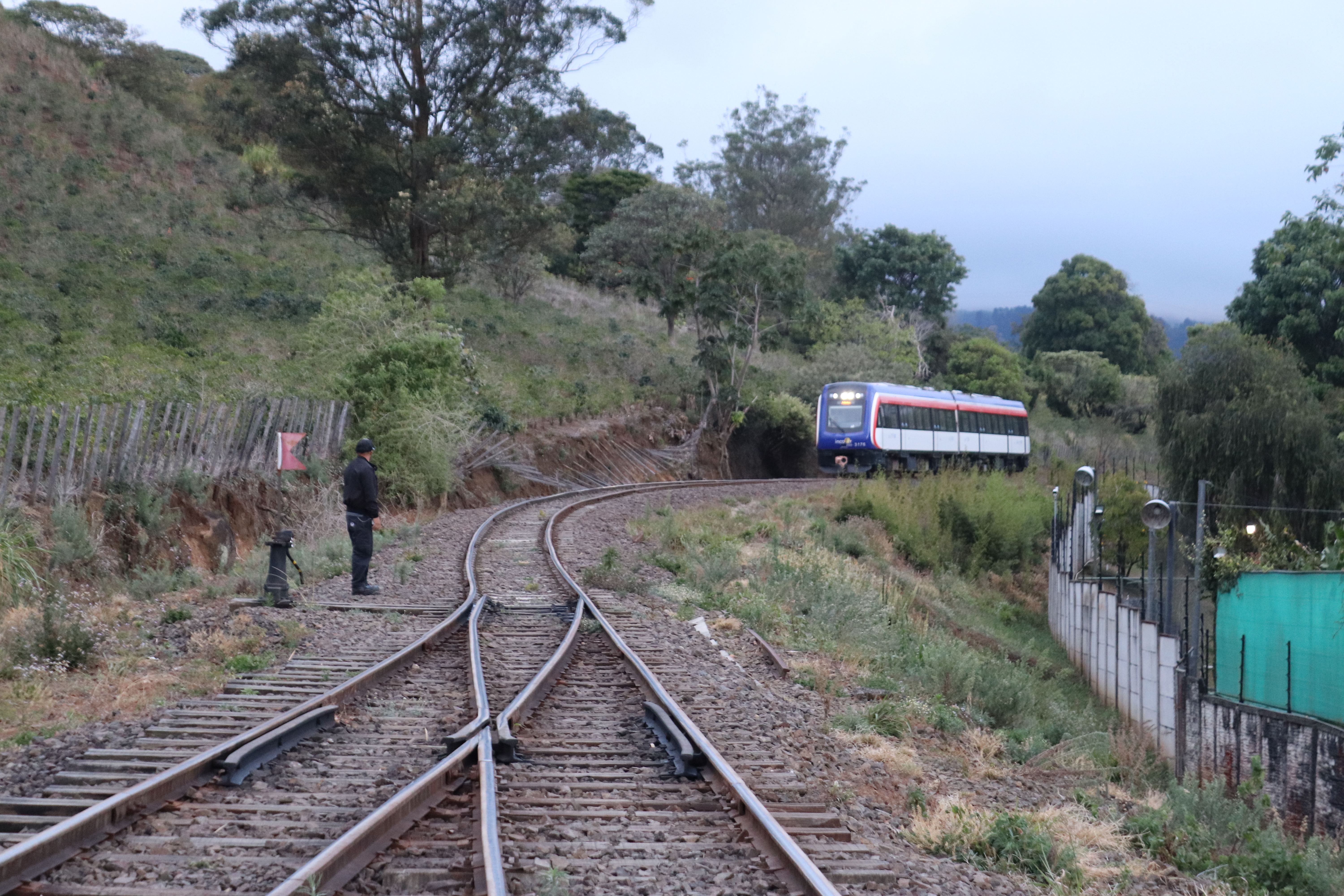 Vista del tren a Cartago, enfrente rieles, atrás y de fondo el vagón