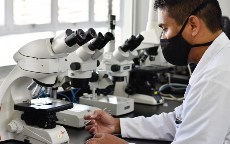Microscopio 
