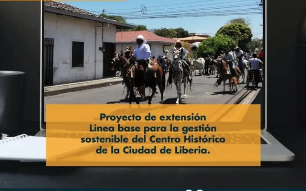 Proyecto extensión