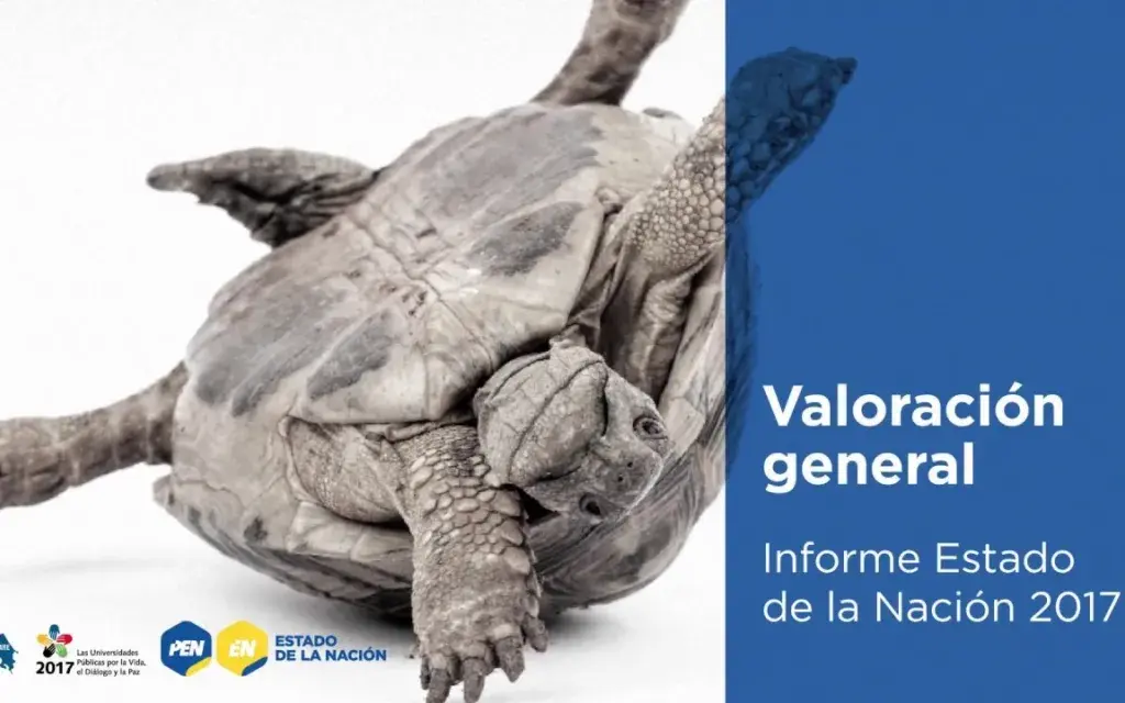 tortuga