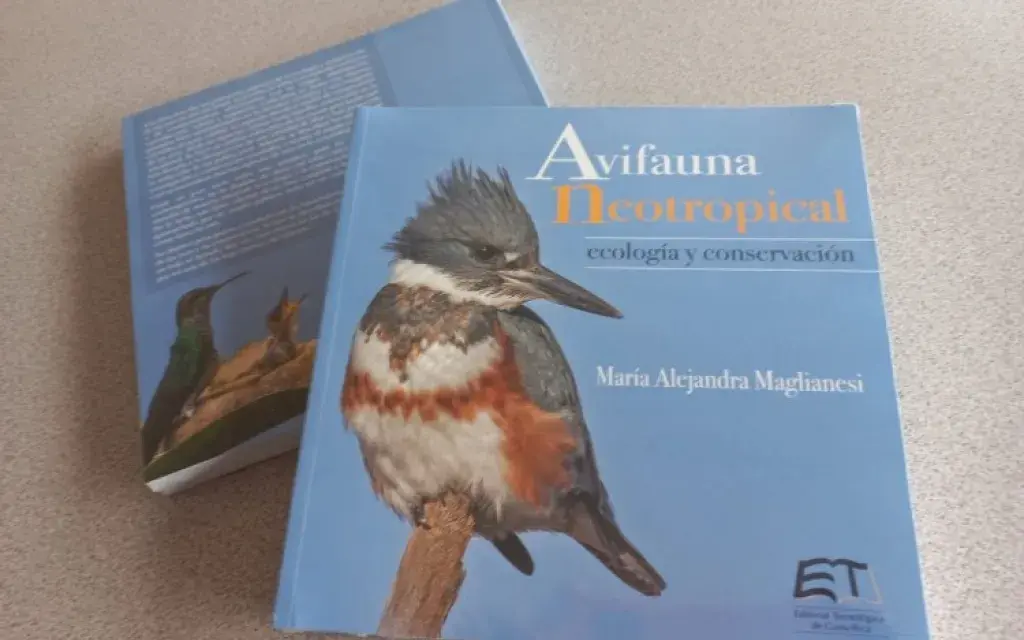 Libros