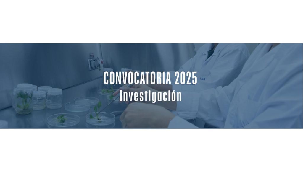 Convocatoria 2025/Investigación