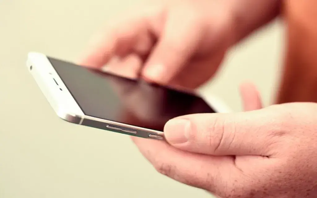 Celular