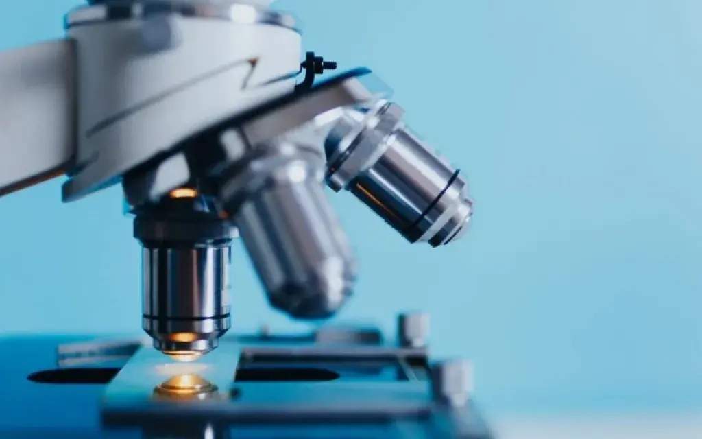 Microscopio