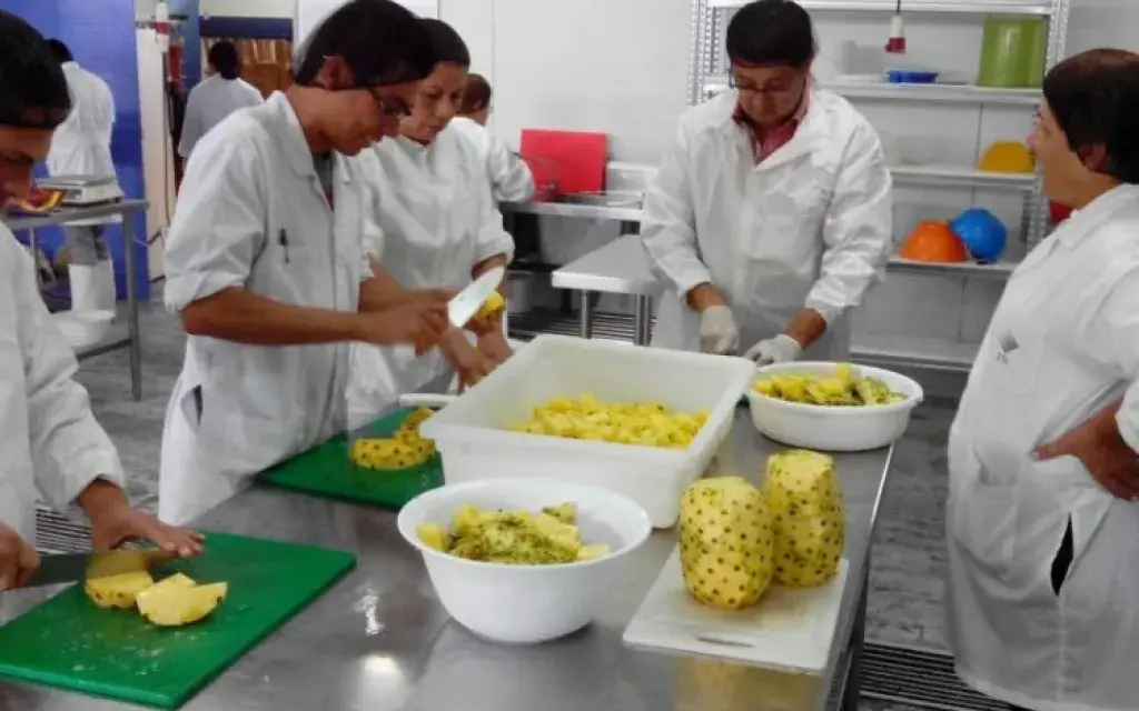 curso_frutas
