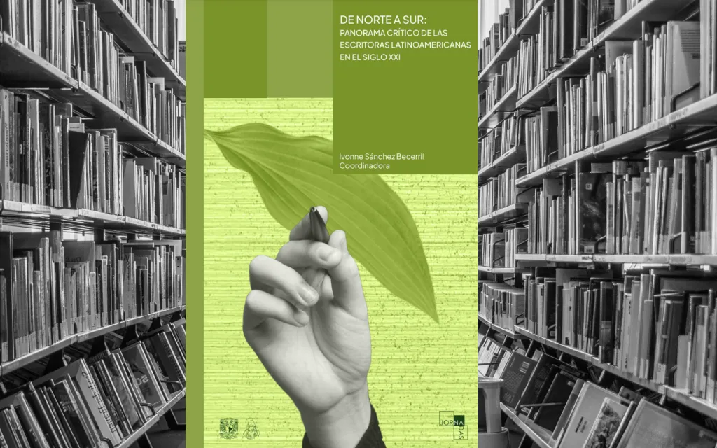 De norte a sur: panorama crítico de las escritoras latinoamericanas en el siglo XXI.