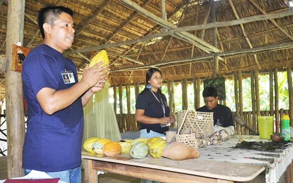 Cacao