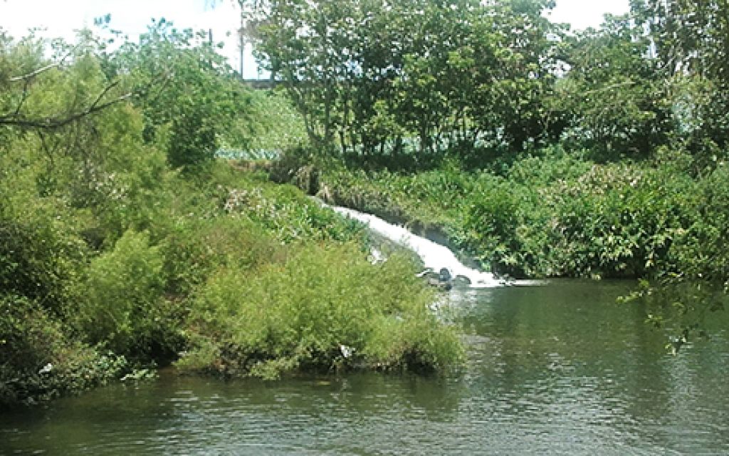 cauce de río