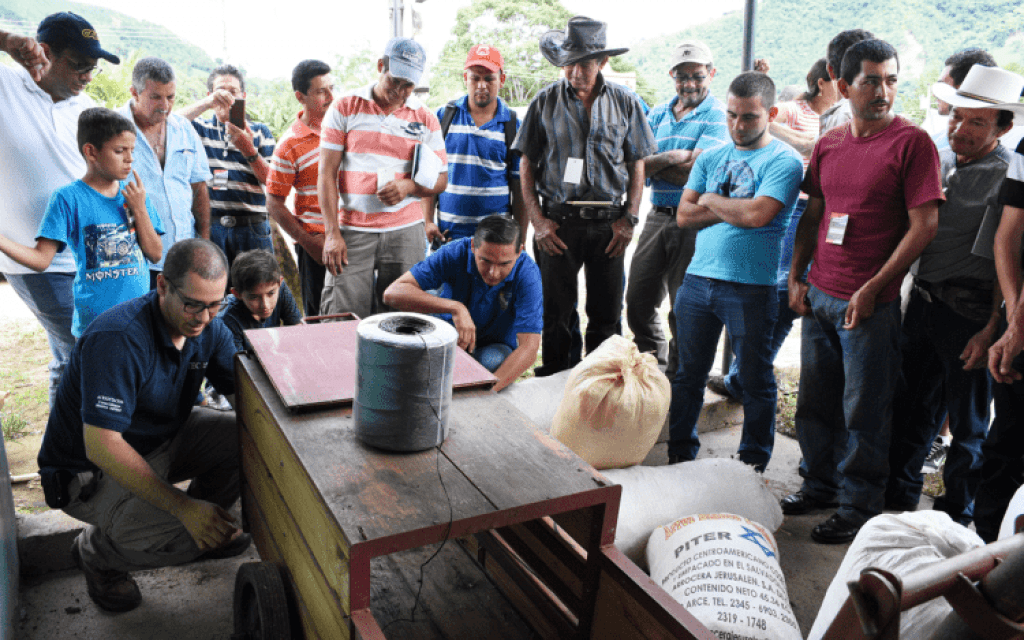 Profesor Felipe Vaquerano de Agronegocios  enseña a productores