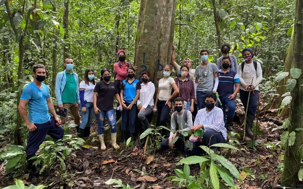 Grupo de Trabajo Final