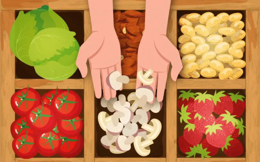 imagenes_nota_de_alimentacion-01
