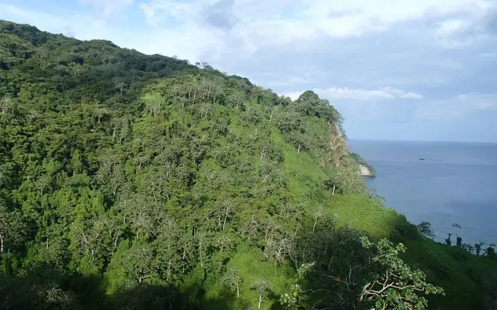 Isla del coco