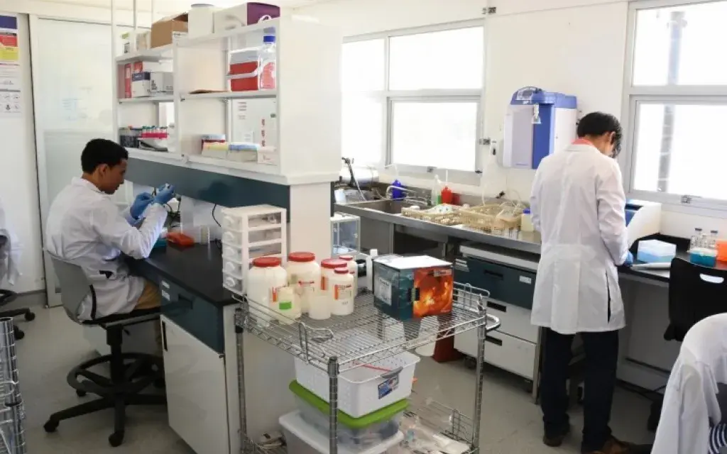 Laboratorio