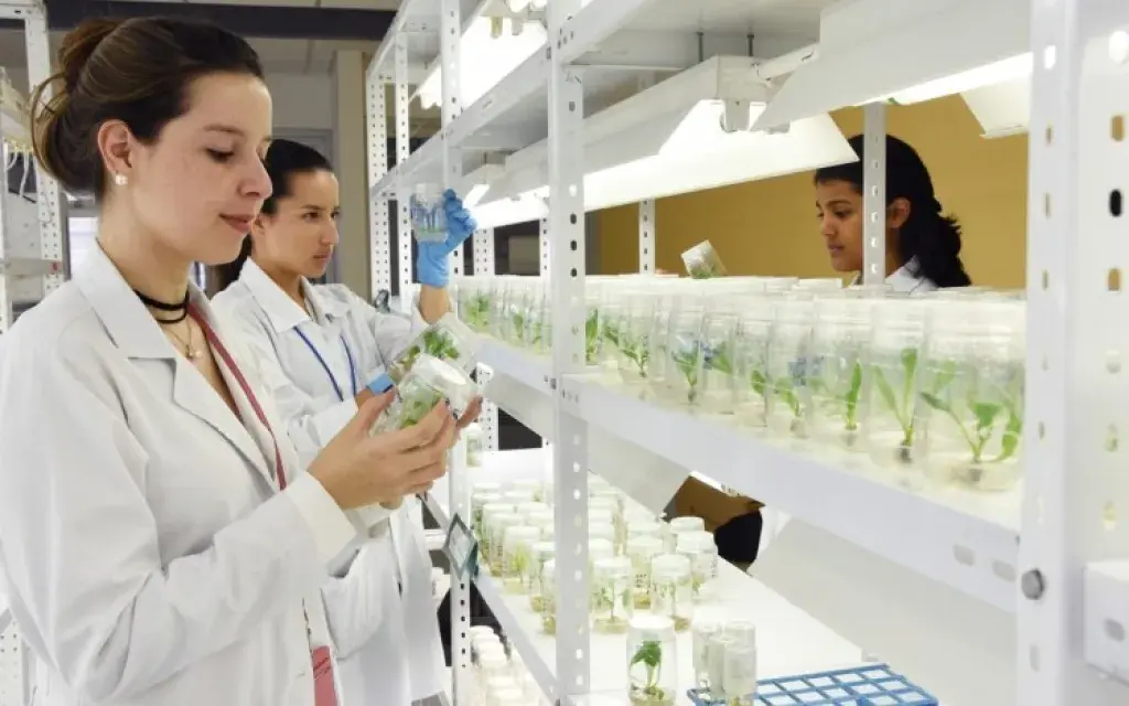 Laboratorio