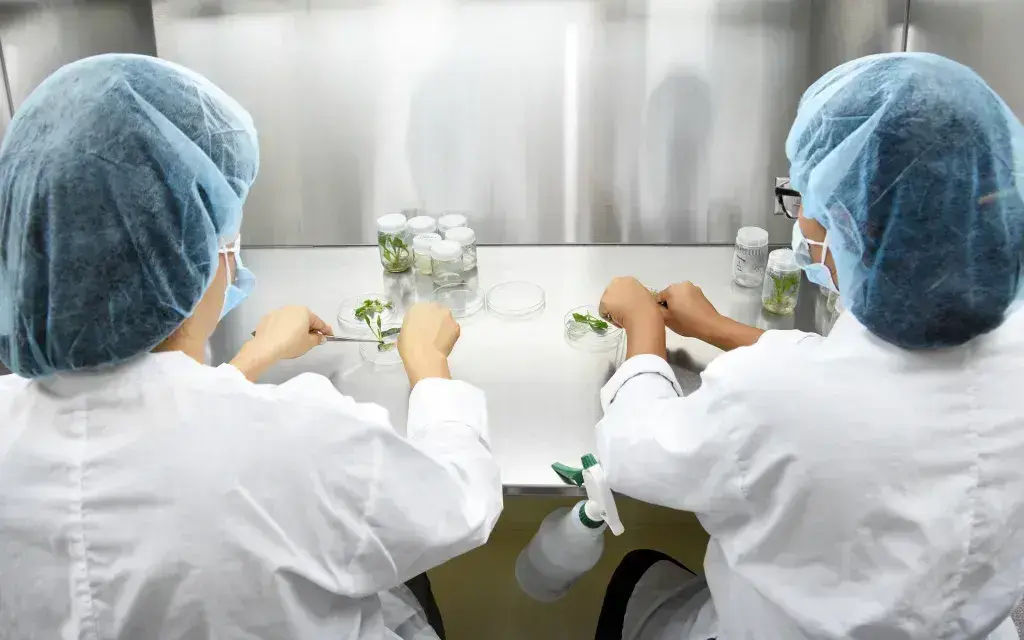 laboratorio de biotecnología