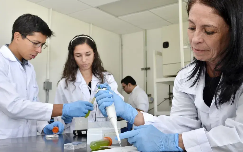 investigadores