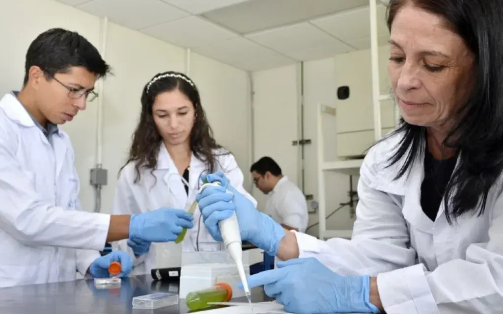 microalgas_carnes_zamora_rgarita_04_0