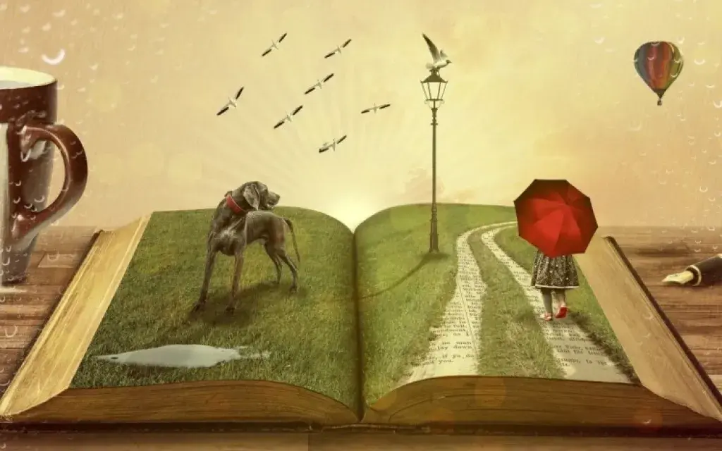 Libro