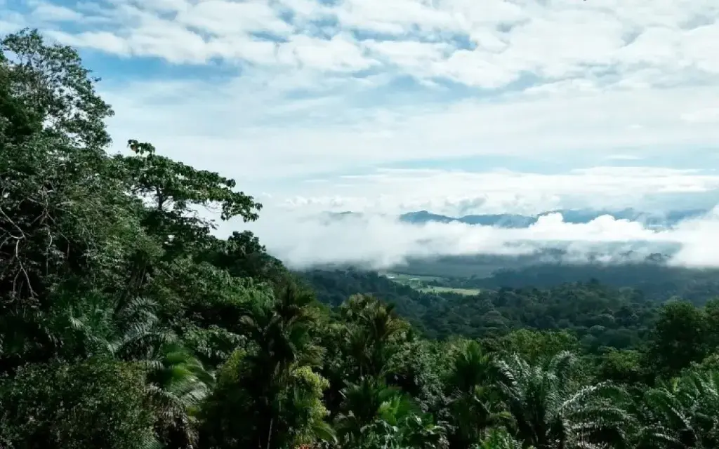 Paisaje