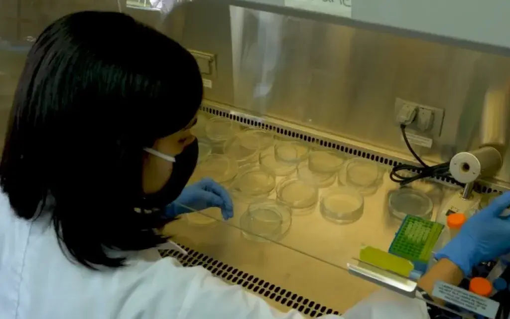Laboratorio