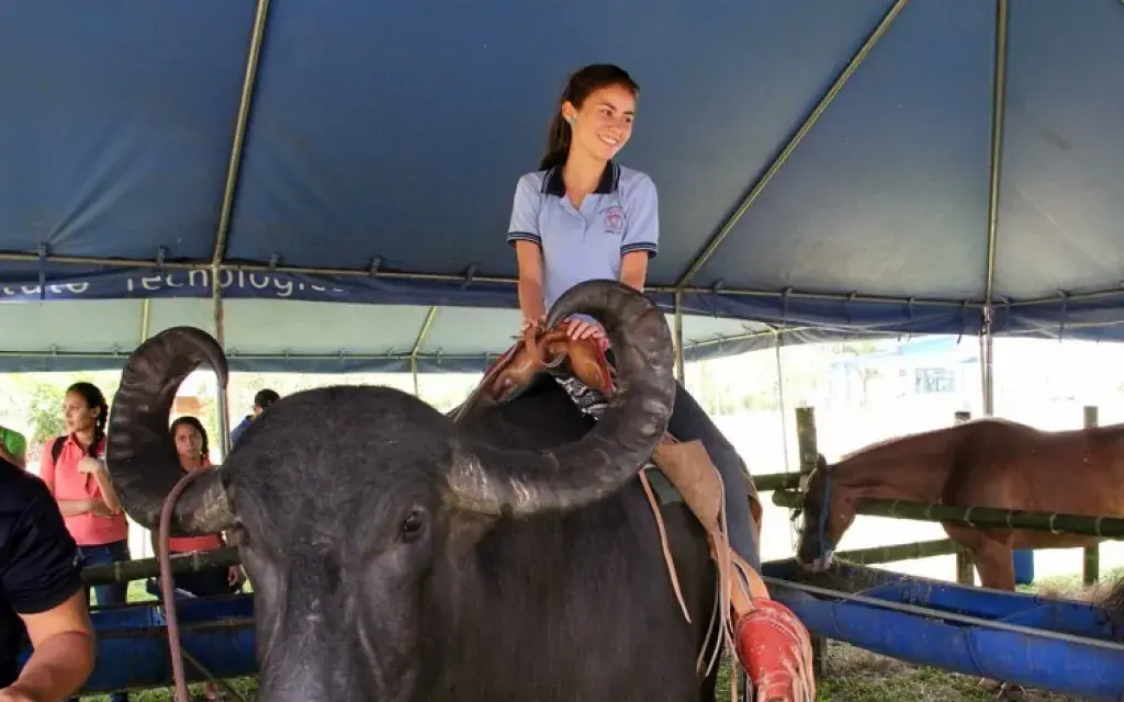 Feria vocacional