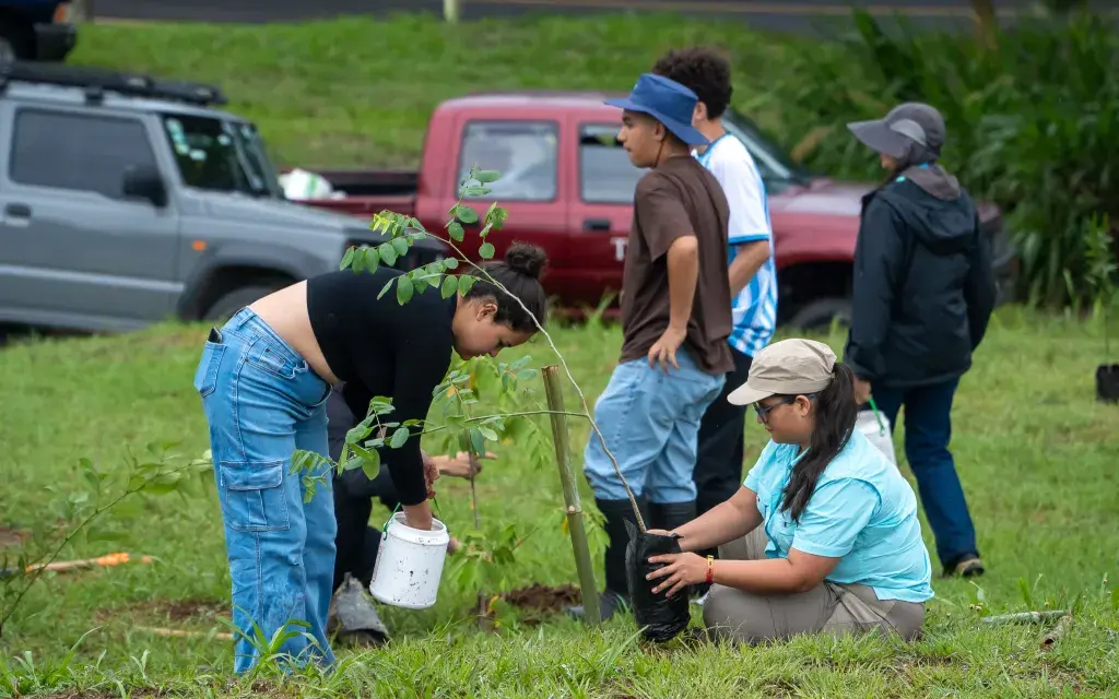 personas estudiantes participan de plantación de árboles