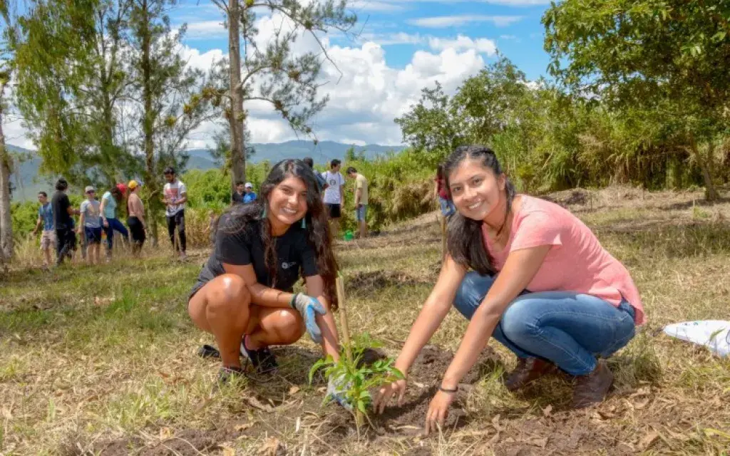 Sembrar un árbol