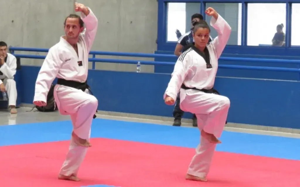 taekwondo_tec_0