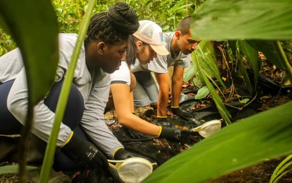 Voluntarios realizando tareas en el campo