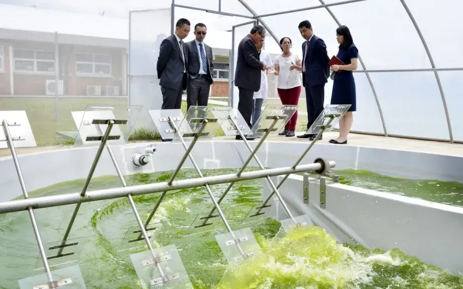 (Fotografías:Ruth Garita)