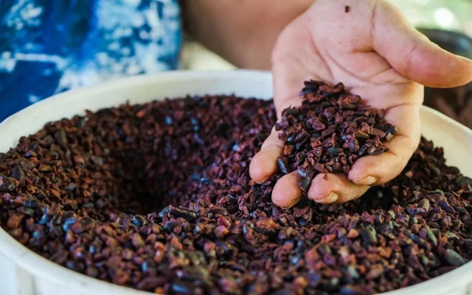 Fotografía de la actividad