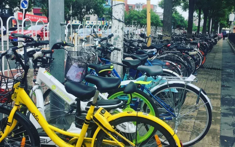 Fotografías: Kenneth Mora