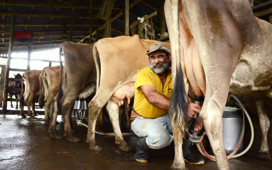 Fotografías: Ruth Garita.