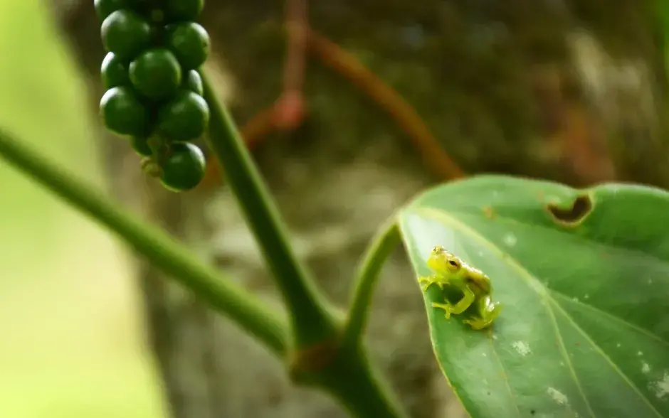 Fotografías: Ruth Garita.