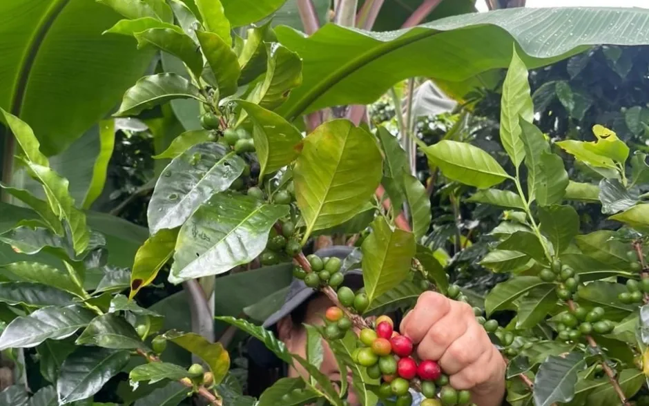 Fotografía de la actividad